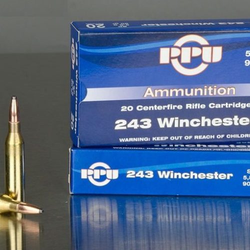 .243 WINCHESTER – IDEALAN ZA LOV NA SRNEĆU DIVLJAČ